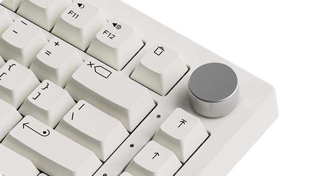 Stylish and Customizable