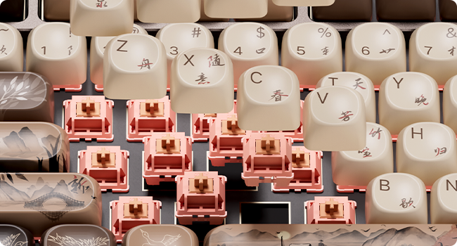 Hot Swappable & PBT Keycaps