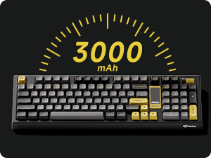 Know more about 3098B Keyboard