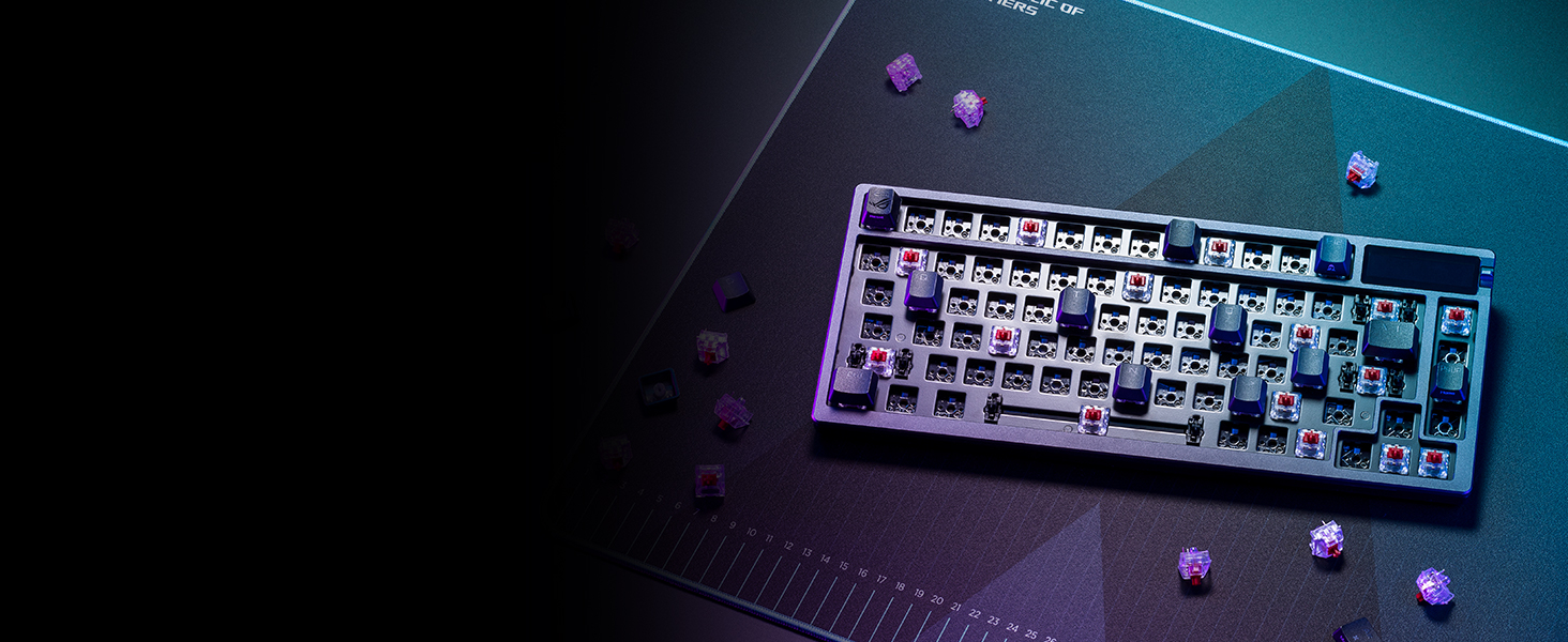 HOT-SWAPPABLE SWITCHES