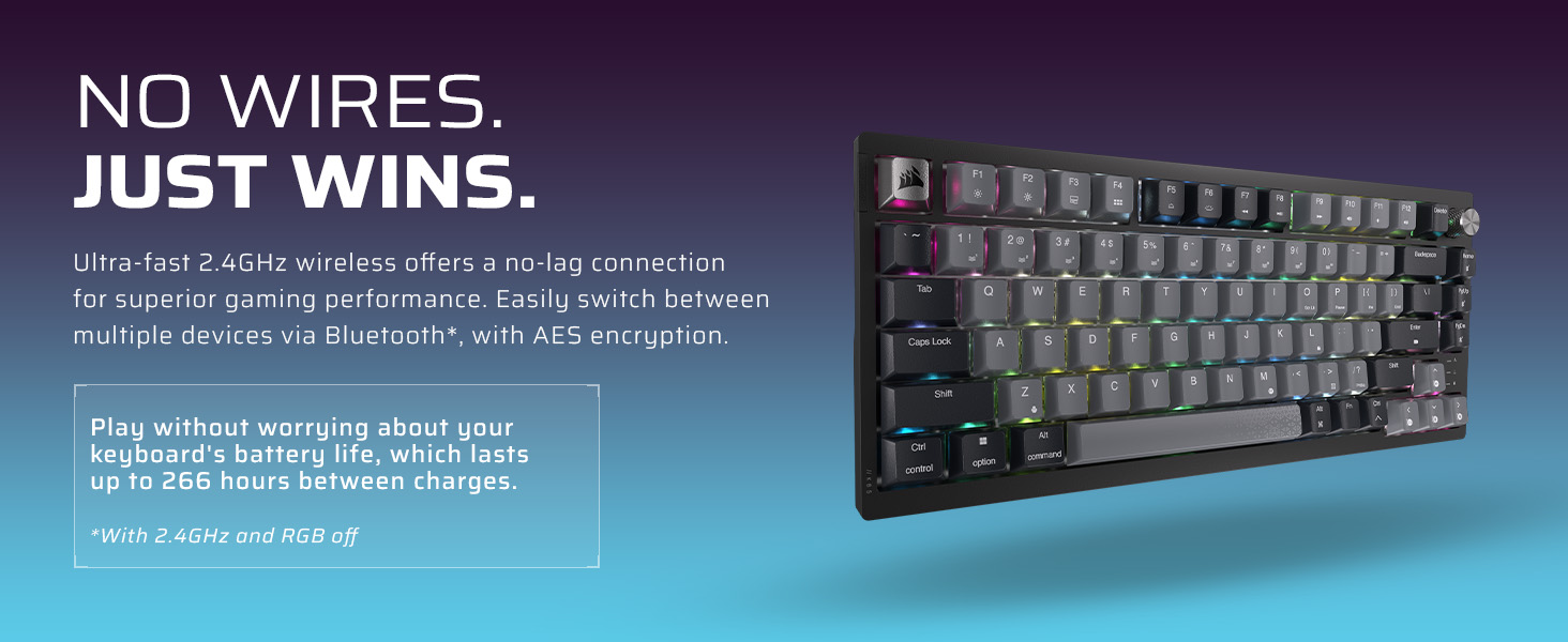Durable PBT Dye-Sub Keycaps