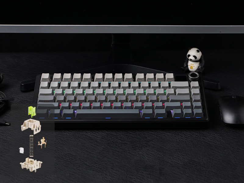 Showcasing Sound, Software, RGB Backlight, Connection & Package