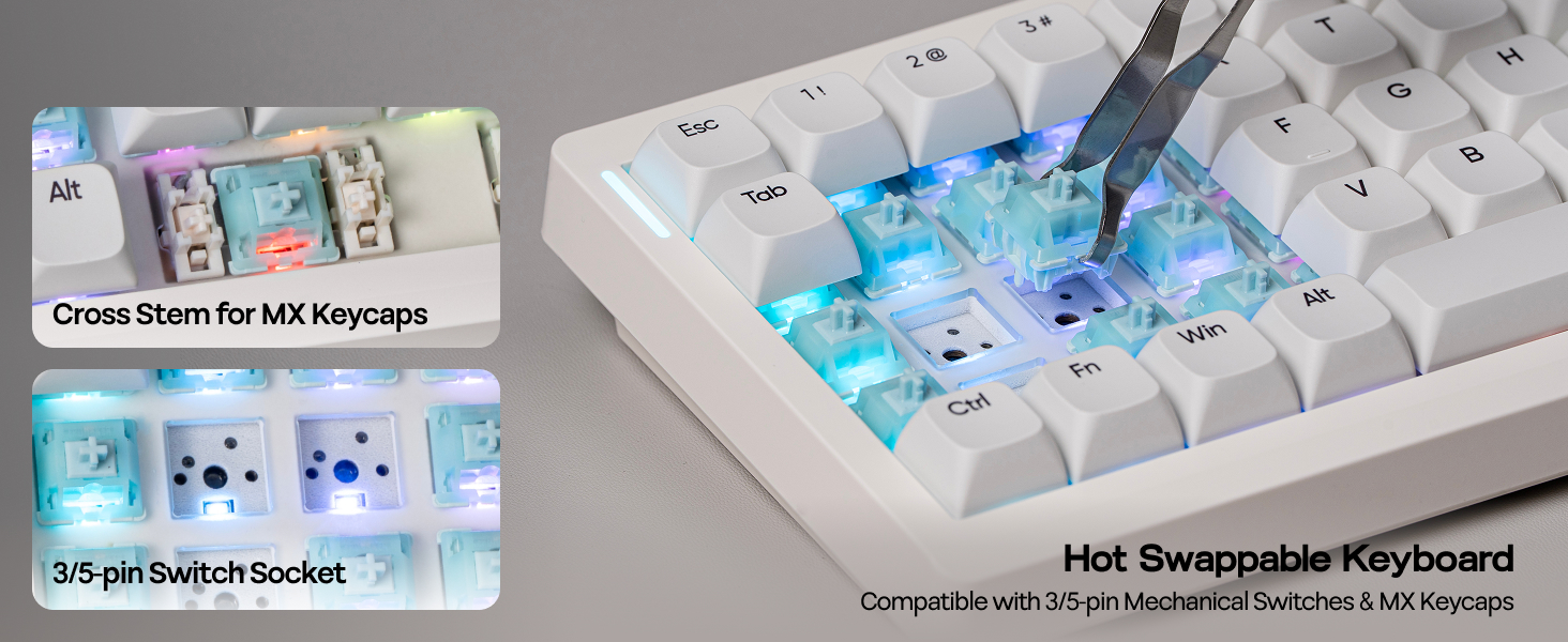 Versatile Tri-Mode Connectivity