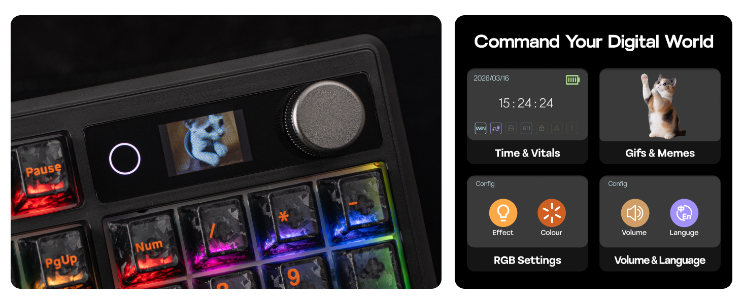 Hot-Swappable for Customization