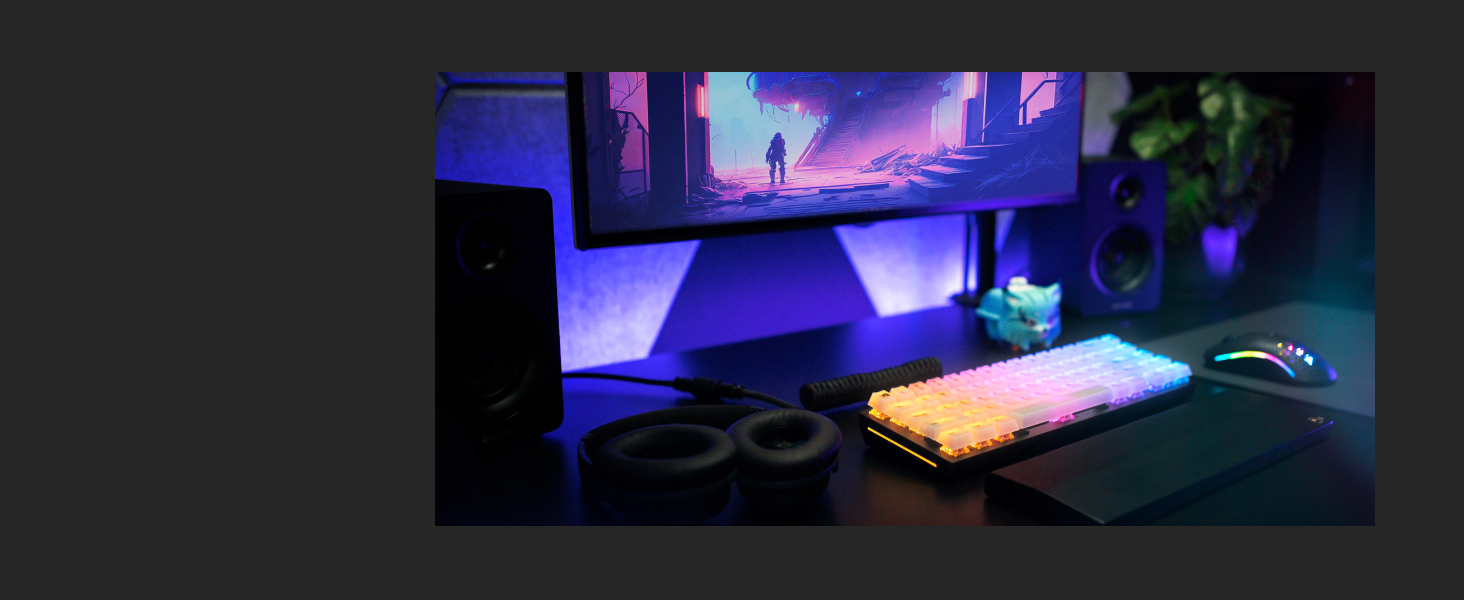 OUR FAVOURITE CUSTOMIZATION OPTIONS