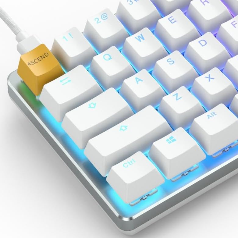 Standard Layout For Customization
