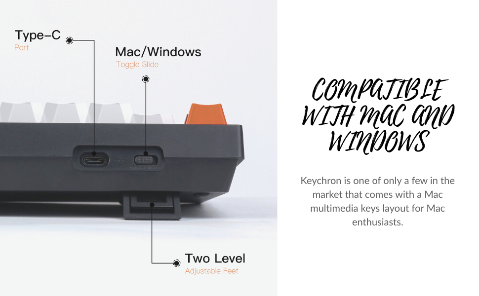 Compatible with Mac & Windows