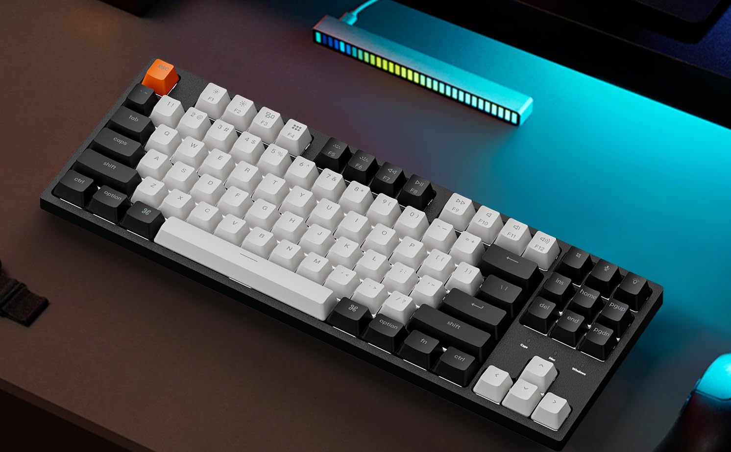 White Backlight