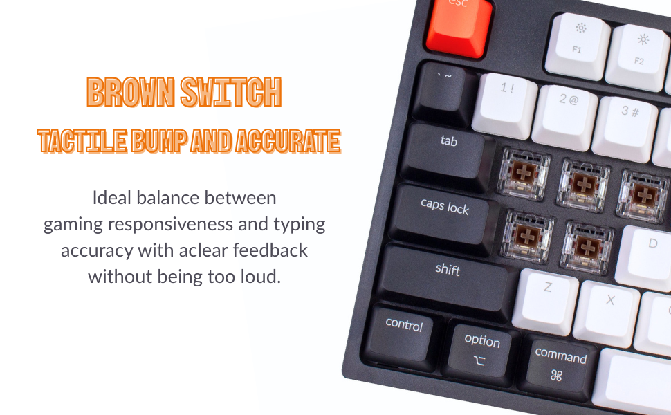 Brown Switch :
