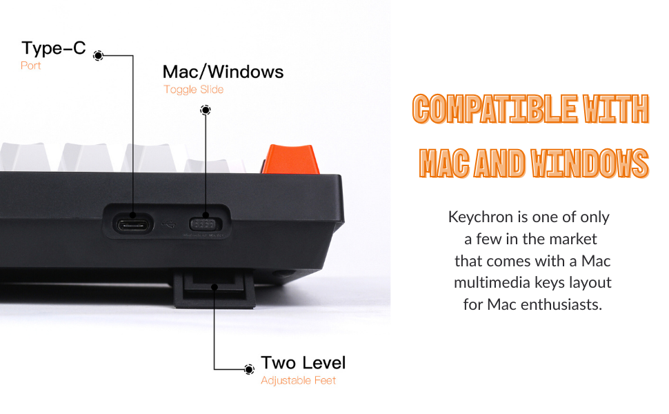 Compatible with Mac and Windows :