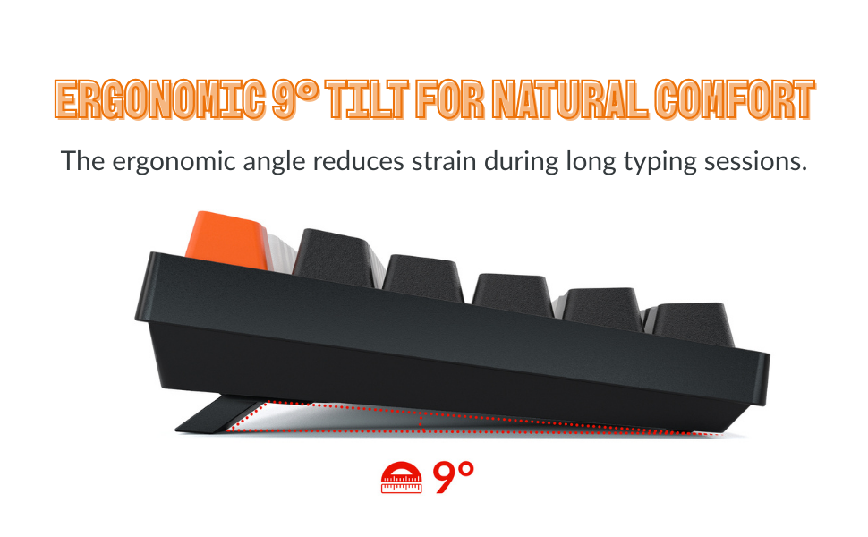 Ergonomic Support :