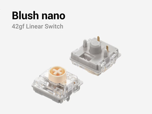 Switch Basic Parameters