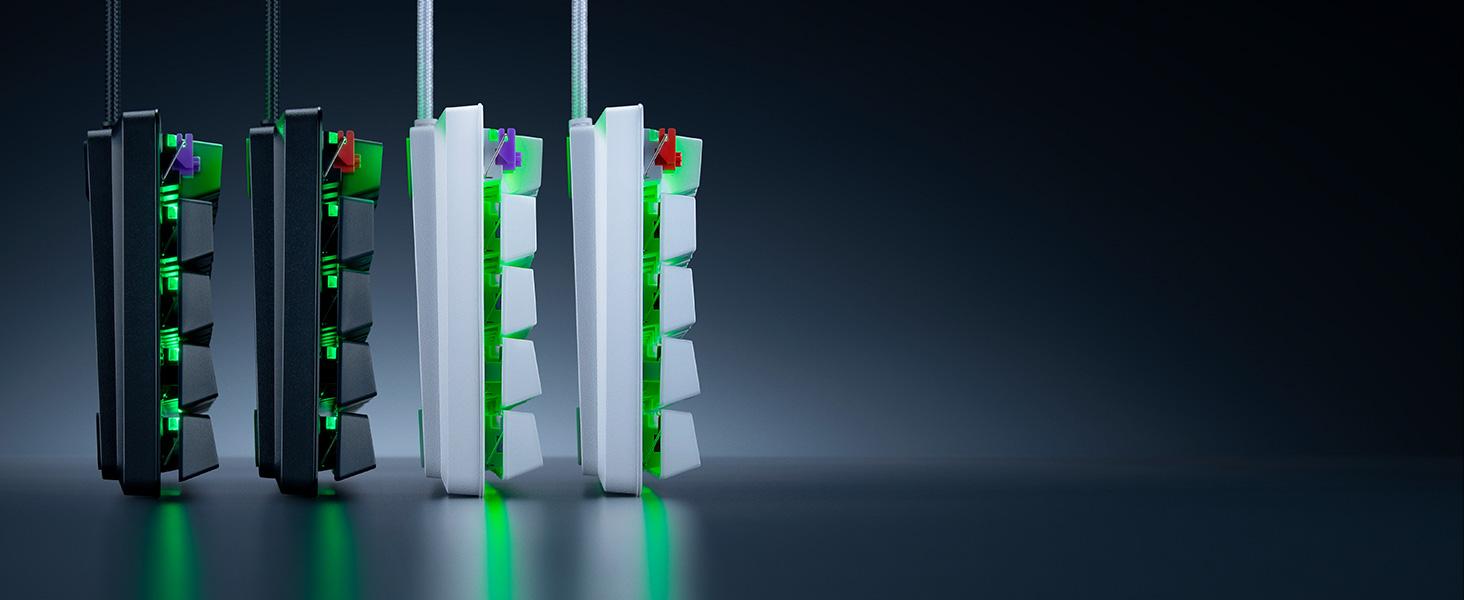 With Clicky or Linear Switch Options